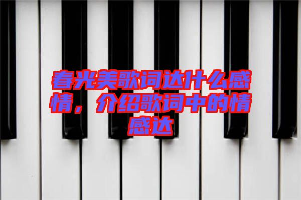 春光美歌詞達(dá)什么感情，介紹歌詞中的情感達(dá)