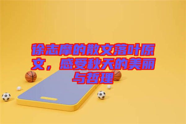 徐志摩的散文落葉原文，感受秋天的美麗與哲理