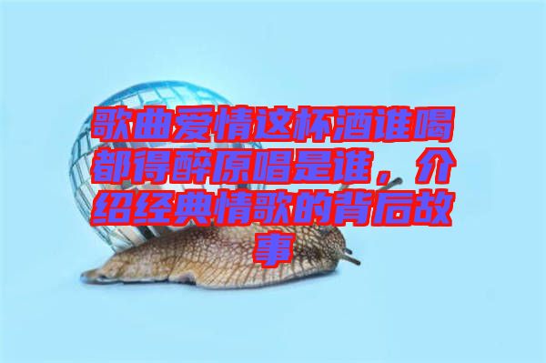 歌曲愛情這杯酒誰喝都得醉原唱是誰，介紹經典情歌的背后故事