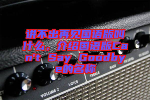 講不出再見國語版叫什么，介紹國語版Can't Say Goodbye的名稱