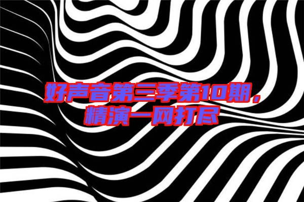 好聲音第三季第10期，精演一網(wǎng)打盡