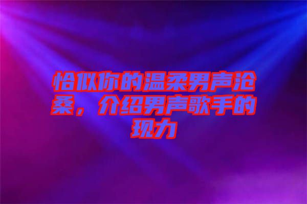 恰似你的溫柔男聲滄桑，介紹男聲歌手的現力