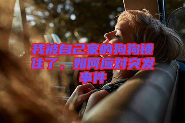 我被自己家的狗狗鎖住了，如何應(yīng)對(duì)突發(fā)事件