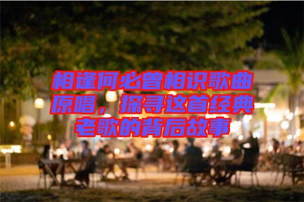 相逢何必曾相識歌曲原唱，探尋這首經典老歌的背后故事