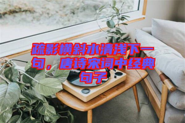 疏影橫斜水清淺下一句，唐詩宋詞中經典句子