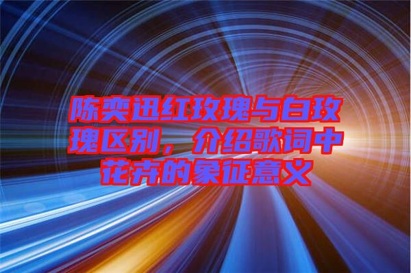 陳奕迅紅玫瑰與白玫瑰區(qū)別，介紹歌詞中花卉的象征意義