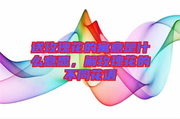 送玫瑰花的寓意是什么意思，解玫瑰花的不同花語