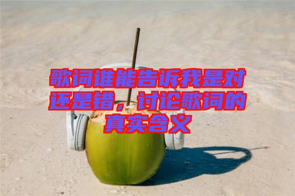 歌詞誰能告訴我是對還是錯，討論歌詞的真實含義