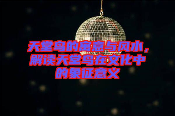 天堂鳥的寓意與風水，解讀天堂鳥在文化中的象征意義