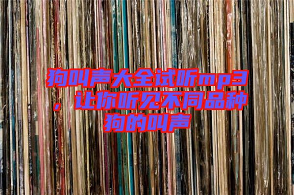 狗叫聲大全試聽mp3，讓你聽見不同品種狗的叫聲