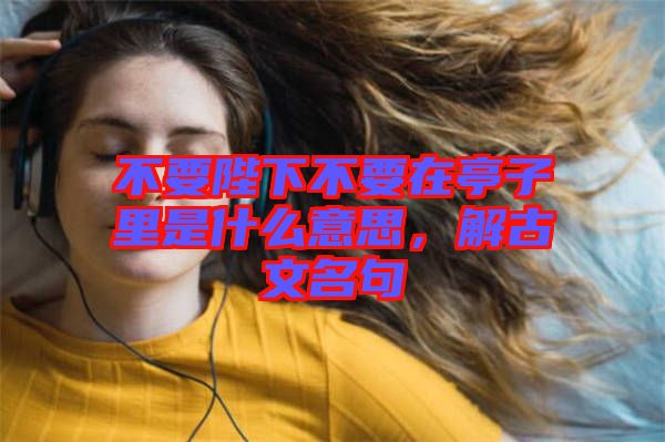 不要陛下不要在亭子里是什么意思，解古文名句