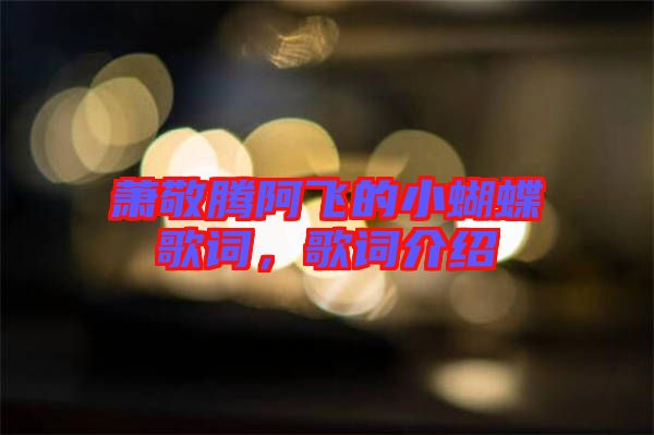 蕭敬騰阿飛的小蝴蝶歌詞，歌詞介紹