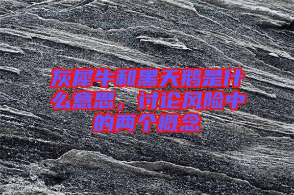 灰犀牛和黑天鵝是什么意思，討論風險中的兩個概念