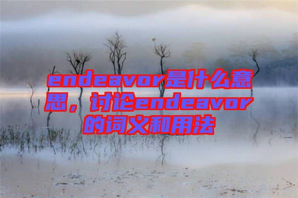 endeavor是什么意思，討論endeavor的詞義和用法
