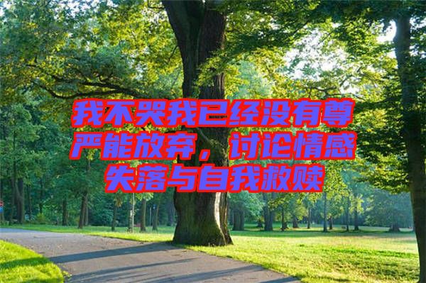 我不哭我已經沒有尊嚴能放棄，討論情感失落與自我救贖