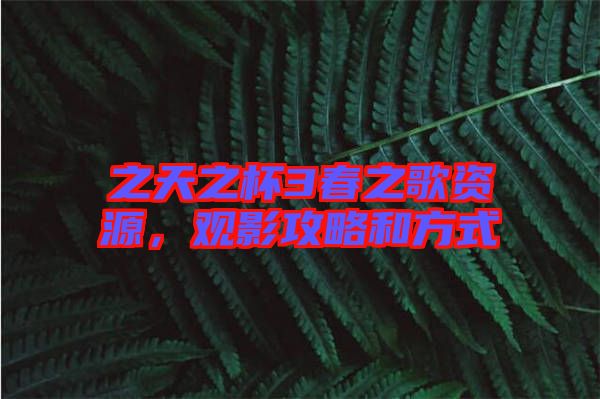 之天之杯3春之歌資源，觀影攻略和方式