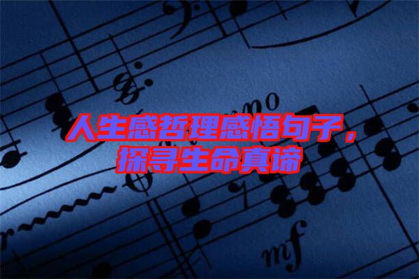 人生感哲理感悟句子，探尋生命真諦