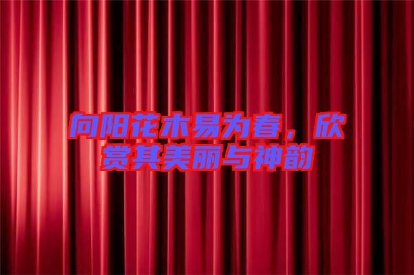 向陽花木易為春，欣賞其美麗與神韻