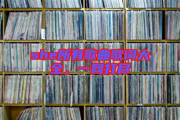 she所有歌曲歌詞大全，一網打盡