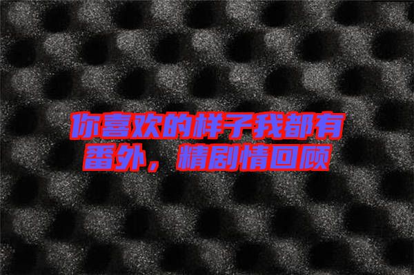 你喜歡的樣子我都有番外，精劇情回顧