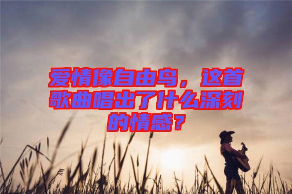愛情像自由鳥，這首歌曲唱出了什么深刻的情感？