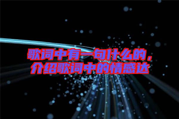 歌詞中有一句什么的，介紹歌詞中的情感達