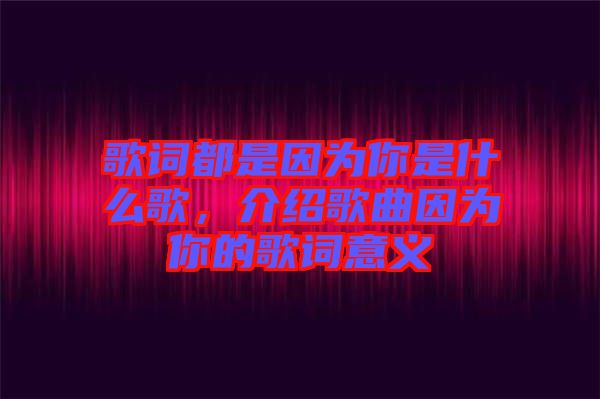 歌詞都是因?yàn)槟闶鞘裁锤?，介紹歌曲因?yàn)槟愕母柙~意義