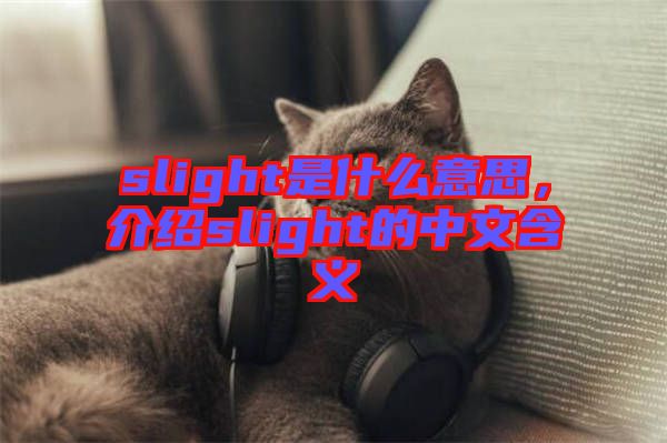 slight是什么意思，介紹slight的中文含義