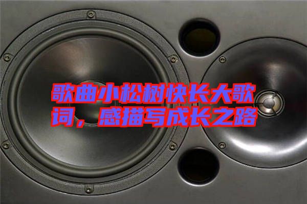 歌曲小松樹(shù)快長(zhǎng)大歌詞，感描寫(xiě)成長(zhǎng)之路