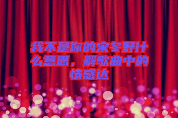 我不是你的宋冬野什么意思，解歌曲中的情感達