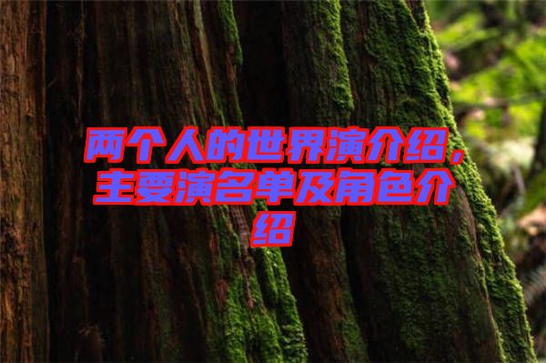 兩個人的世界演介紹，主要演名單及角色介紹