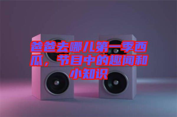 爸爸去哪兒第一季西瓜，節目中的趣聞和小知識