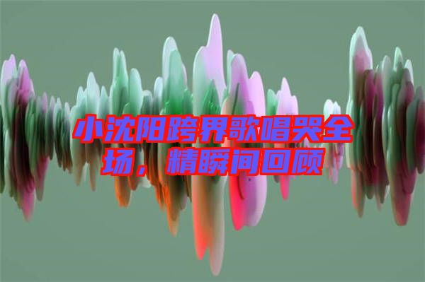 小沈陽跨界歌唱哭全場，精瞬間回顧