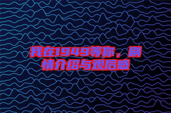 我在1949等你，劇情介紹與觀后感