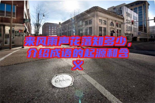 來風(fēng)雨聲花落知多少，介紹成語的起源和含義