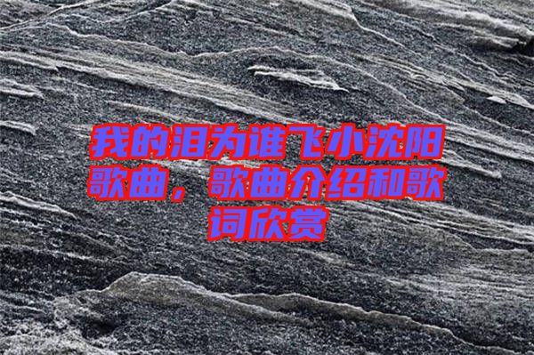 我的淚為誰飛小沈陽歌曲，歌曲介紹和歌詞欣賞