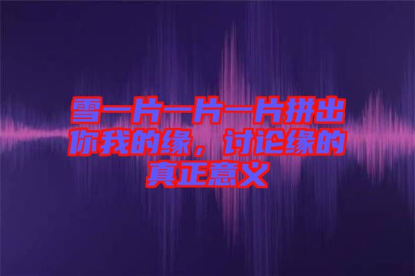 雪一片一片一片拼出你我的緣，討論緣的真正意義