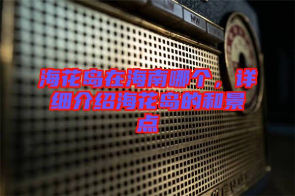 ?；◢u在海南哪個，詳細介紹?；◢u的和景點