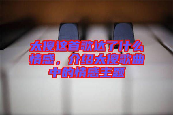 太傻這首歌達了什么情感，介紹太傻歌曲中的情感主題