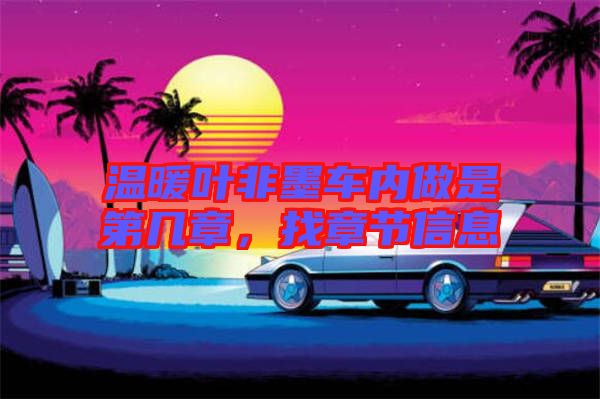 溫暖葉非墨車內做是第幾章，找章節(jié)信息