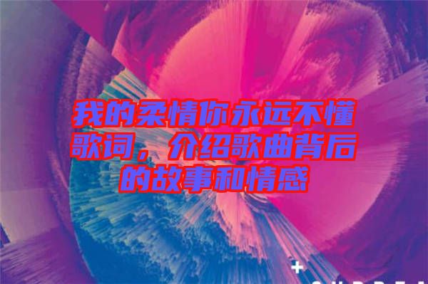 我的柔情你永遠不懂歌詞，介紹歌曲背后的故事和情感