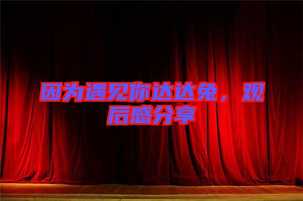 因為遇見你達達兔，觀后感分享