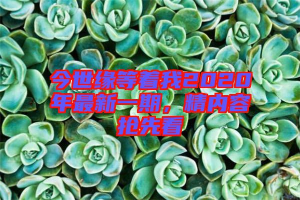 今世緣等著我2020年最新一期，精內容搶先看