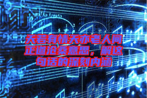 天若有情天亦老人間正道滄桑意思，解這句話的深刻內涵