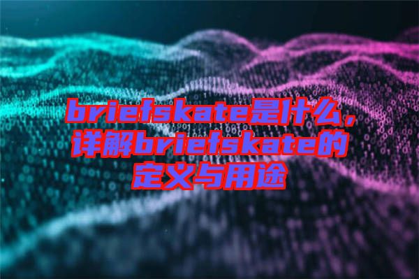briefskate是什么，詳解briefskate的定義與用途