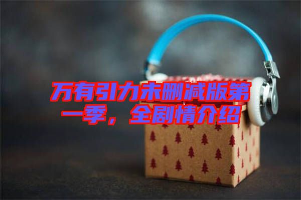 萬有引力未刪減版第一季，全劇情介紹