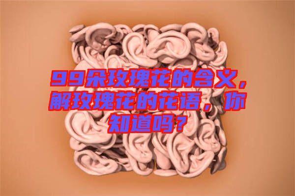 99朵玫瑰花的含義，解玫瑰花的花語，你知道嗎？