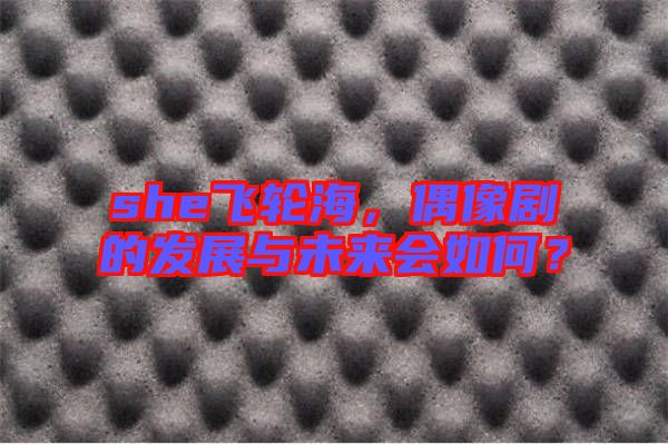 she飛輪海，偶像劇的發(fā)展與未來會如何？