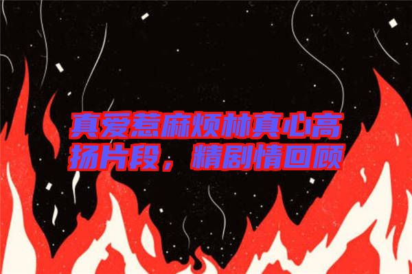 真愛惹麻煩林真心高揚(yáng)片段，精劇情回顧