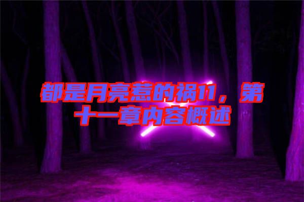 都是月亮惹的禍11，第十一章內(nèi)容概述